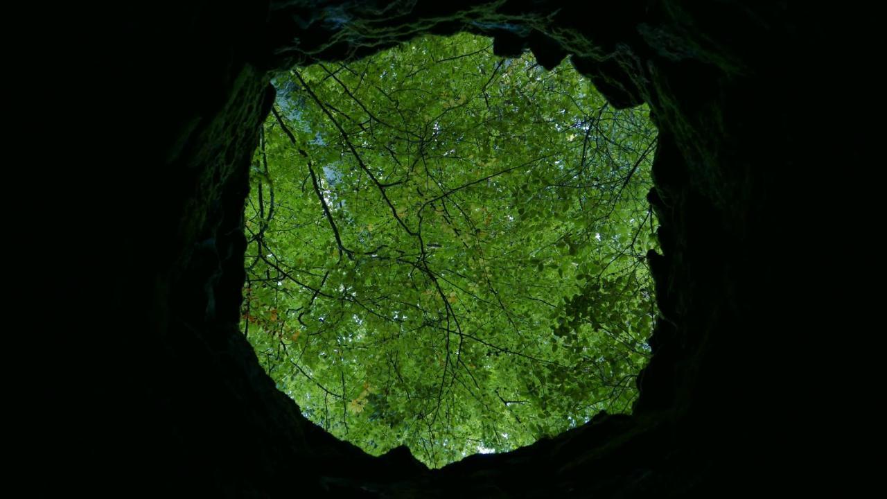 Espaço Origem Sintra Exterior foto